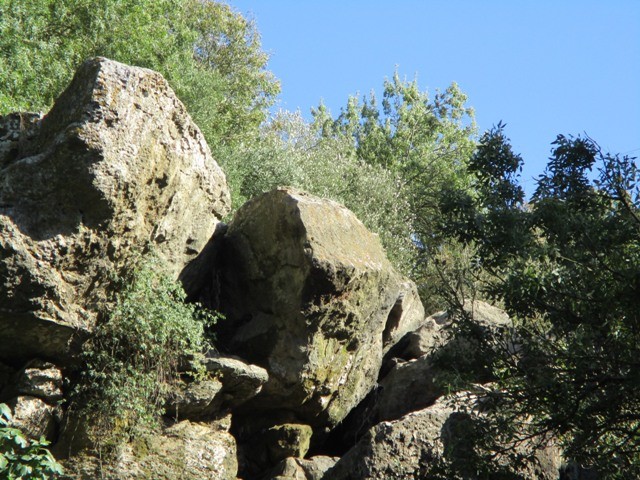 222053978_4098363310278943_6556617298239159741_n.j