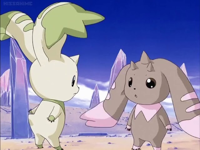 70596955_2624382004268010_6573627830859464704_n.jp