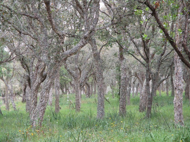 168443652_3773444689437475_2349058126514485933_n.j