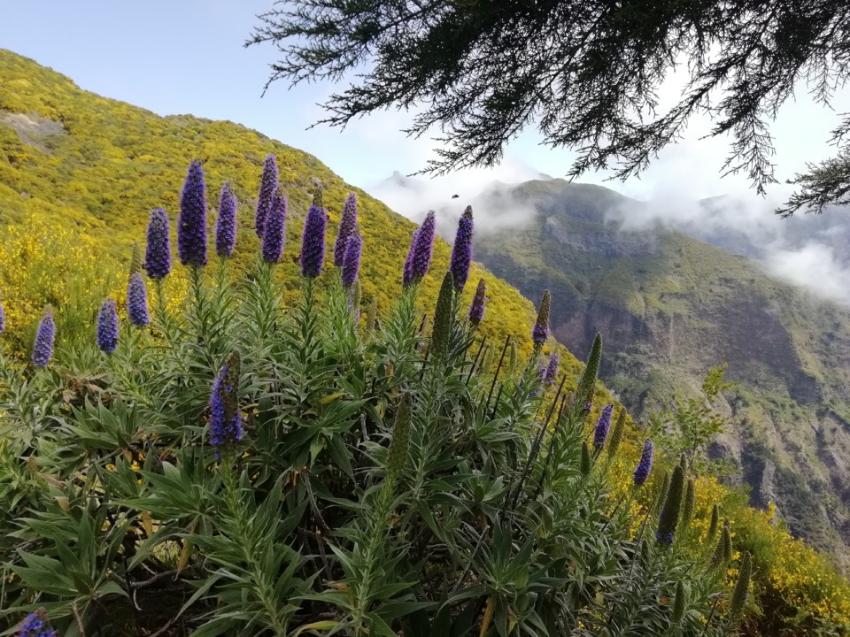 IMG_20210530_115206.jpg IMG_20210530_115206.jpg