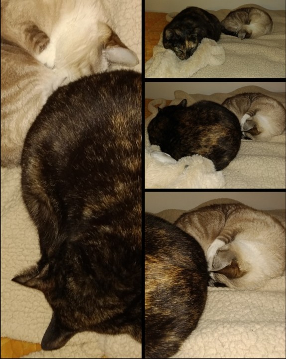 20211204 Paz Podre.jpg