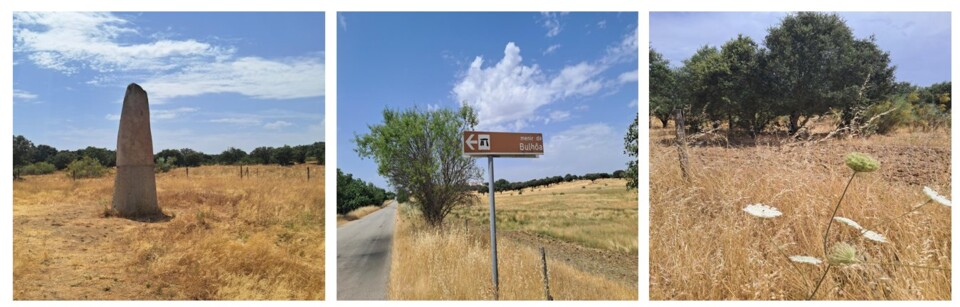 menir.jpg