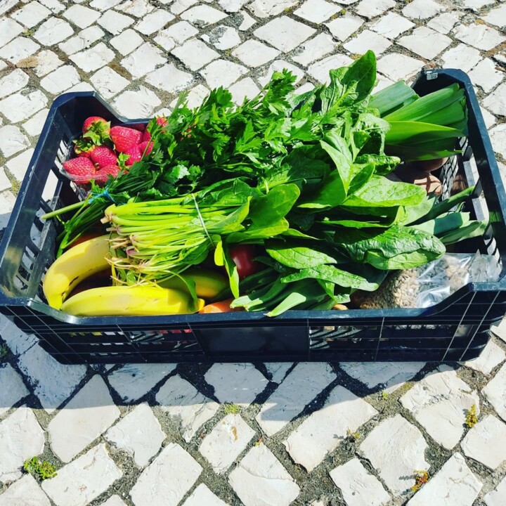 491523913_18474975223066958_7922278820675066804_n.