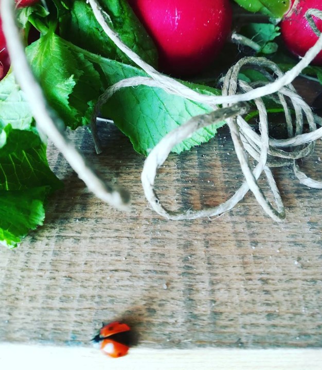 56472504_1343412705798487_2223897378258157568_n.jp