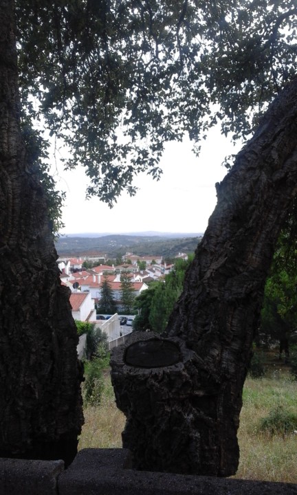 Portalegre. Foto original. 2020. 06. jpg