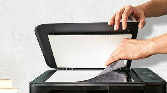 Gestão de Documentos e Processos