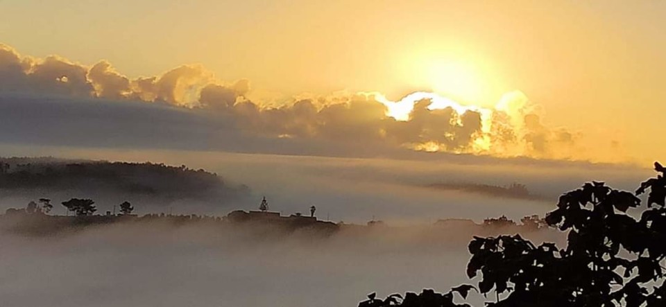 FB_IMG_1597914211697.jpg FB_IMG_1597914211697.jpg