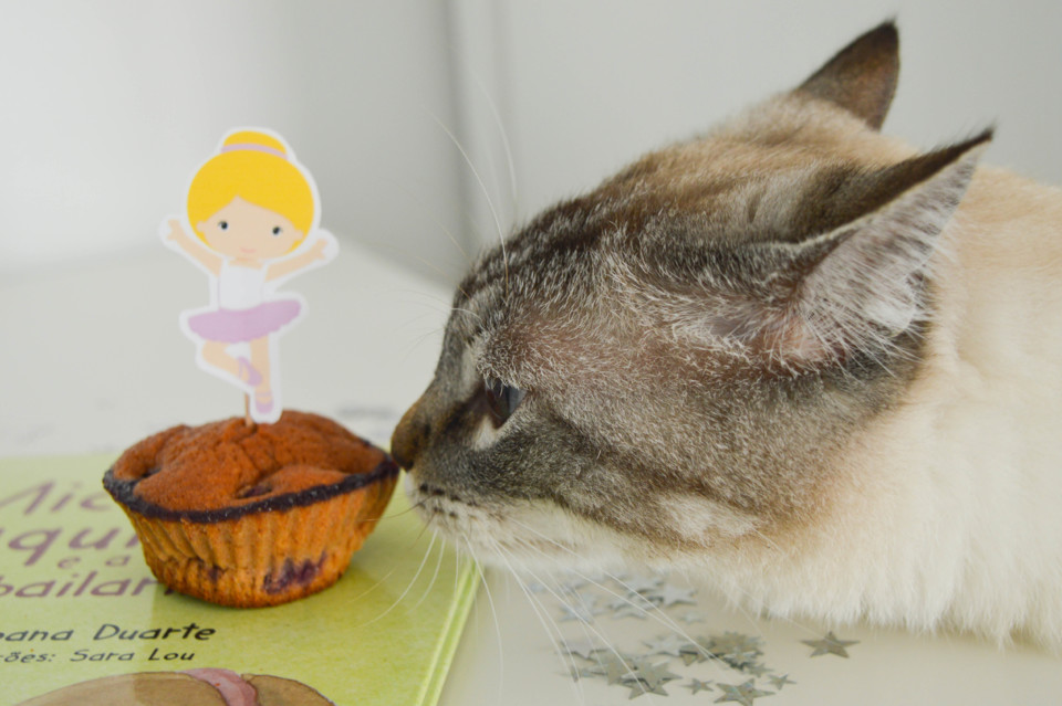 DSC_0336.jpg DSC_0336.jpg