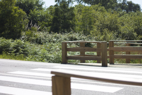 0_passadiço_arcozelo7 0_passadiço_arcozelo7