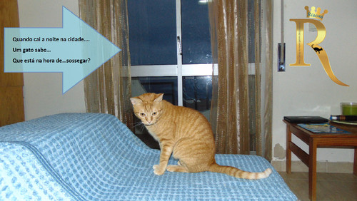 noitegato.jpg