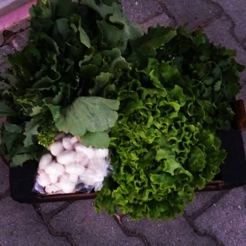 22089607_971090463030715_6910409408430092744_n.jpg 22089607_971090463030715_6910409408430092744_n.jpg