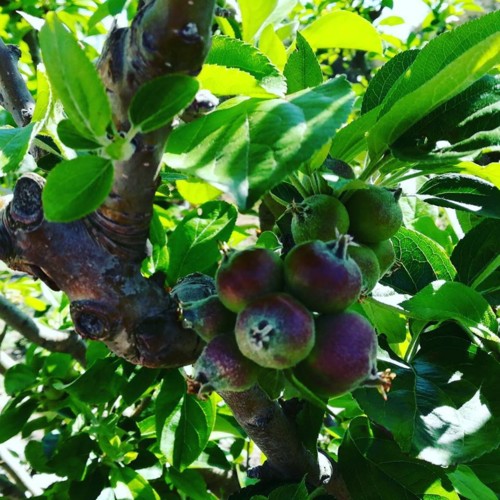 32207467_1093837667422660_7759791068077359104_n.jp 32207467_1093837667422660_7759791068077359104_n.jp