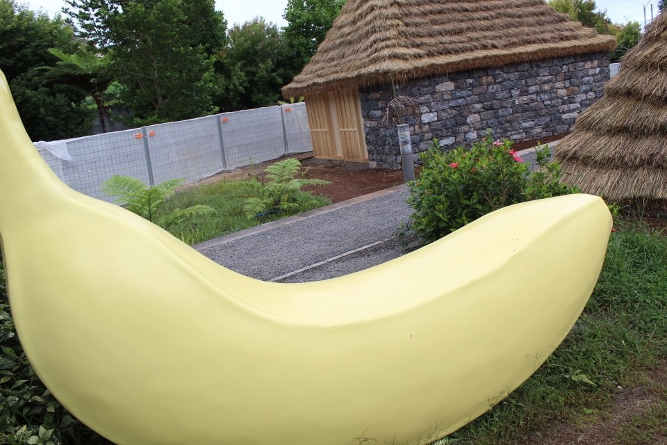 20190927132650_IMG_0046_resized_20191016_083308975