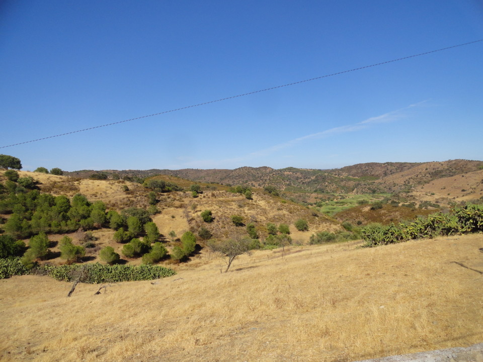 DSC01970.JPG DSC01970.JPG