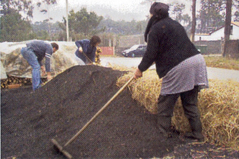 COBRIR COM AREIA.jpg