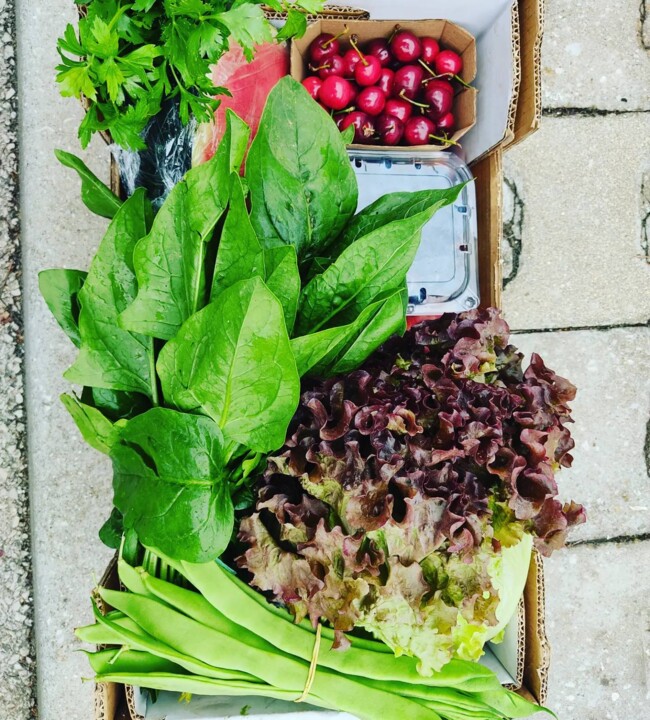 449463336_862846775872734_4377555026697461432_n.jp