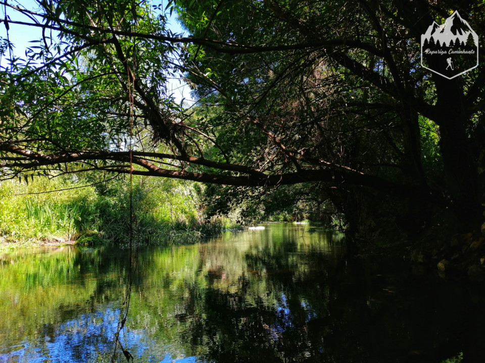 Photo_1596312117421.jpg Photo_1596312117421.jpg