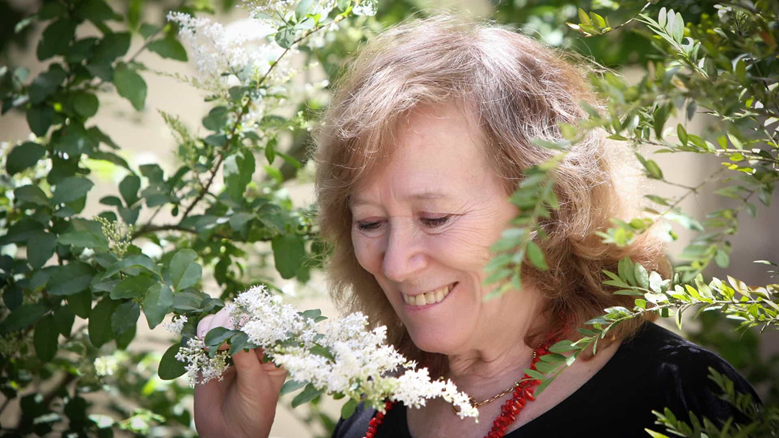 Maria do Céu Guerra.png