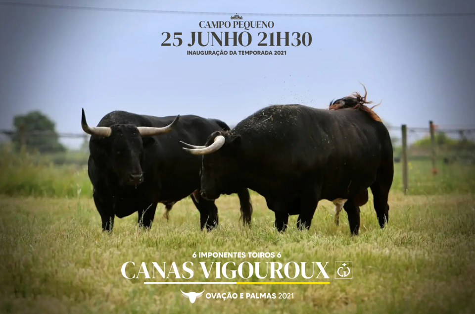 Sem título-4-01.png