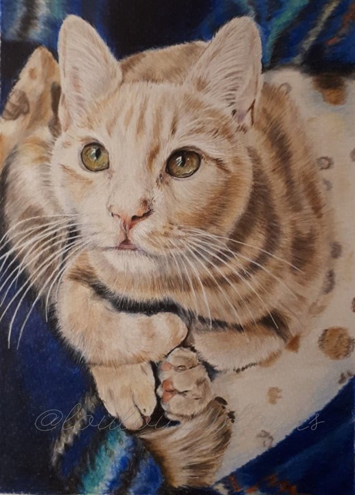 56619863_1907491632696114_1684894929823727616_n.jp