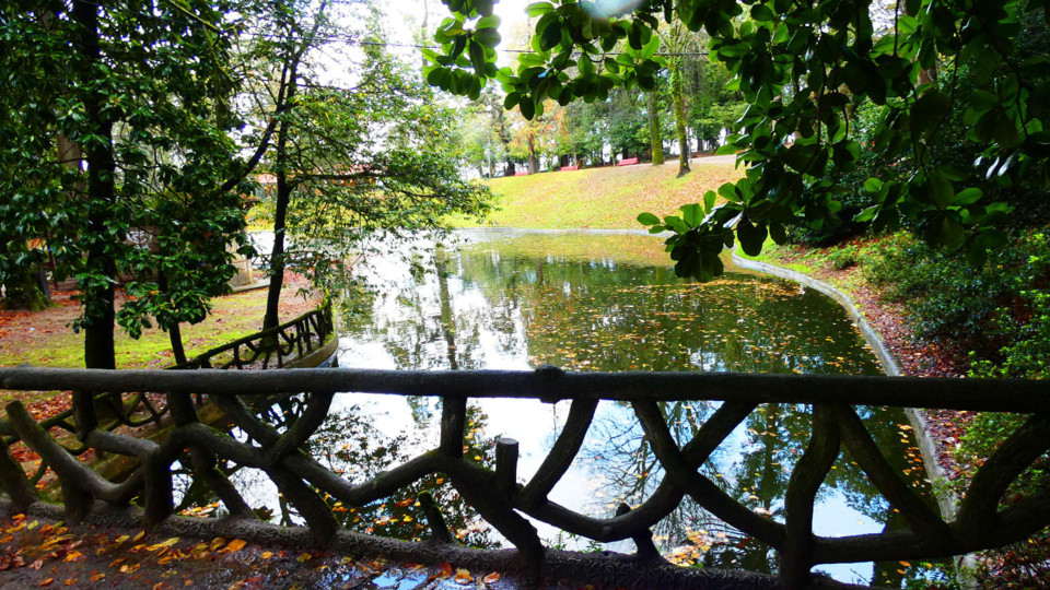 124121616_10218781114694055_4338564522117816959_o.