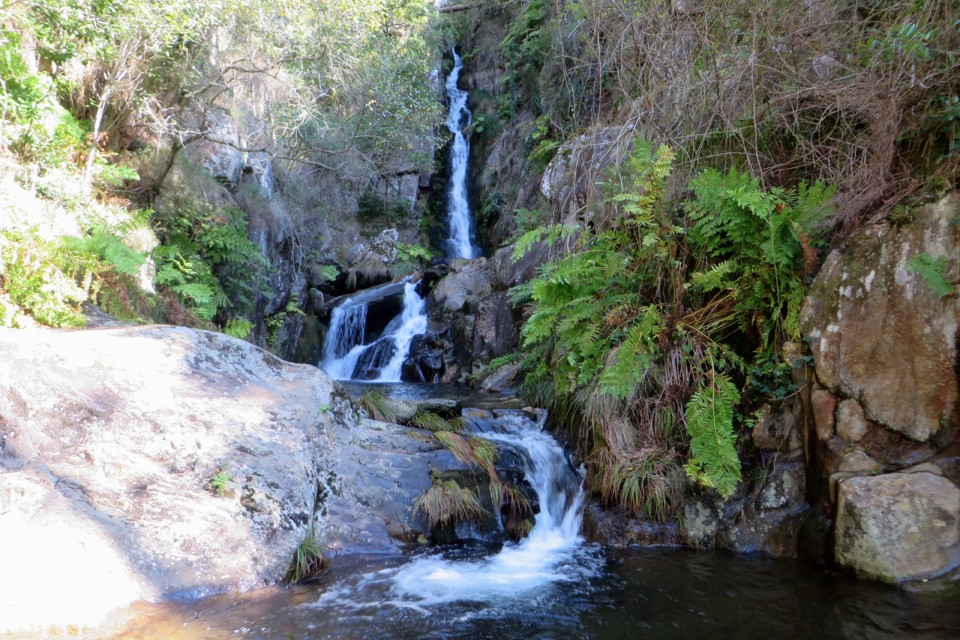 IMG_4638.JPG IMG_4638.JPG