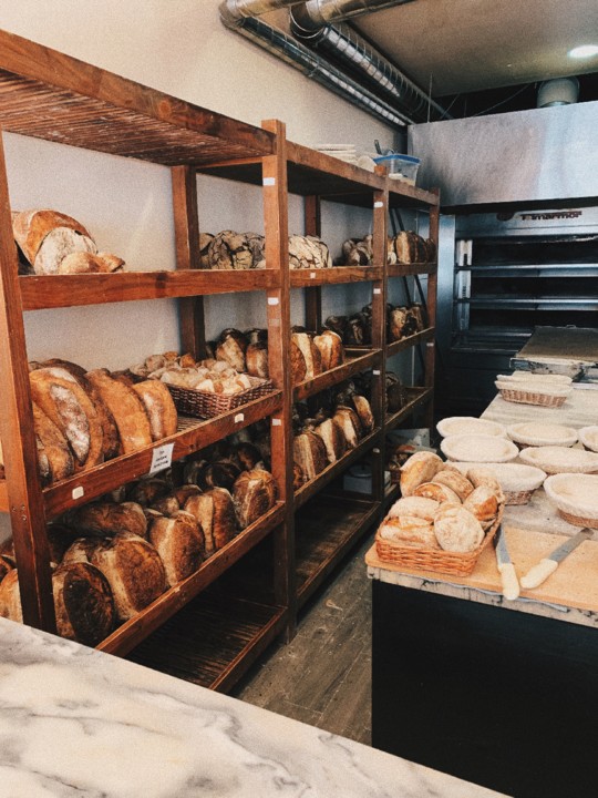 gleba1.JPG gleba1.JPG