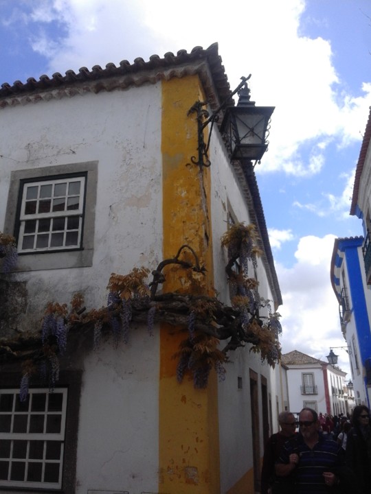 Glicínia. Óbidos. Foto original. 2019. 04. jpg