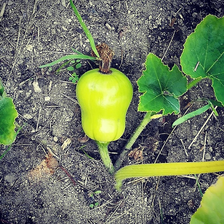 69496693_1443468249126265_1543616520402239488_n.jp