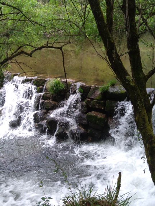 IMG_20210402_115701.jpg IMG_20210402_115701.jpg