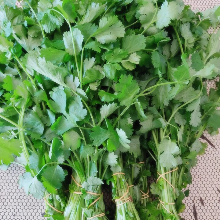 411168980_742093061281440_8155225279976890844_n.jp