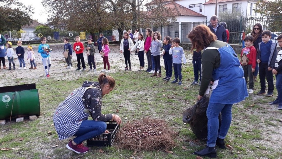 magusto de canas.jpg