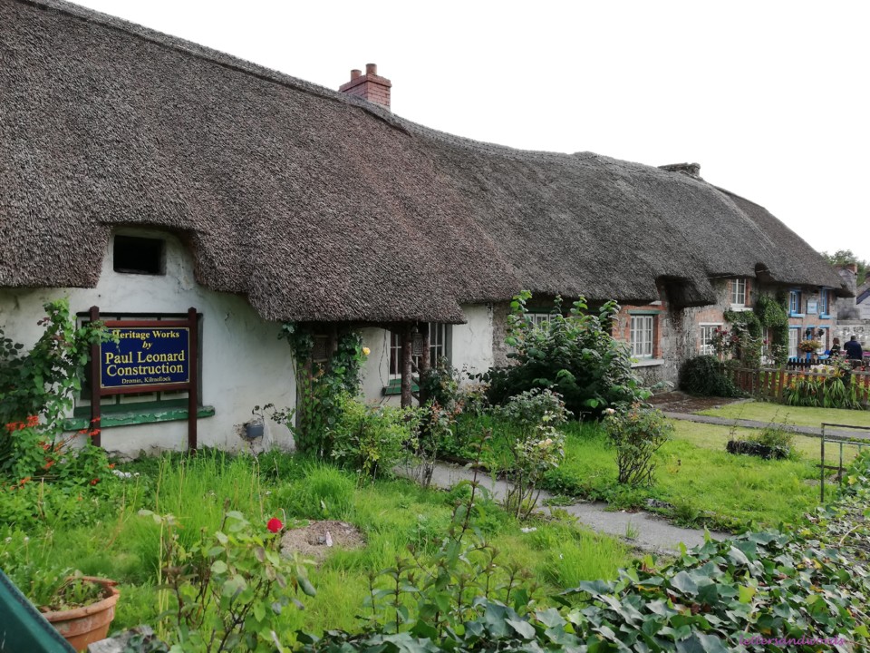 IMG_20190731_192059.jpg IMG_20190731_192059.jpg