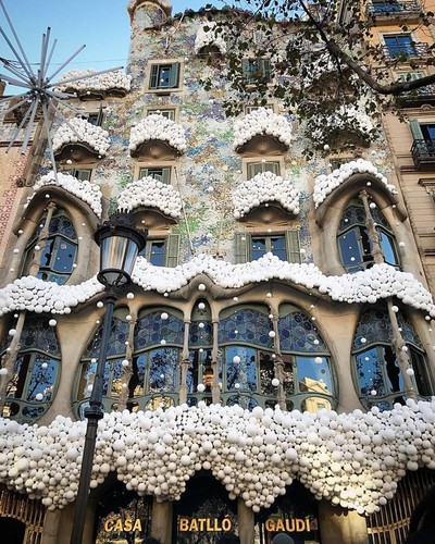 15665812_10211585554410921_105341719818588414_n.jp