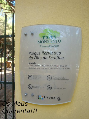 18 De Agosto De 2013 Os Meus Quarenta 