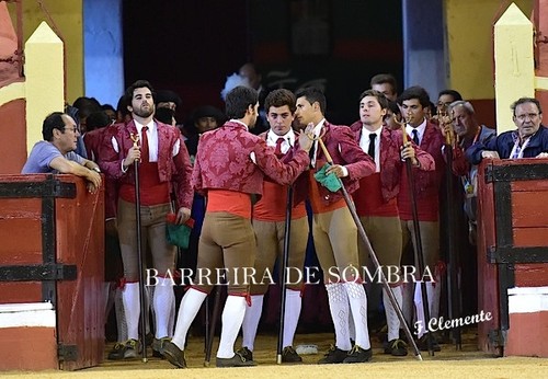 BARREIRA DE SOMBRA01-01-DSC_5141.JPG