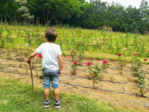 IMG_20180708_144608.jpg IMG_20180708_144608.jpg