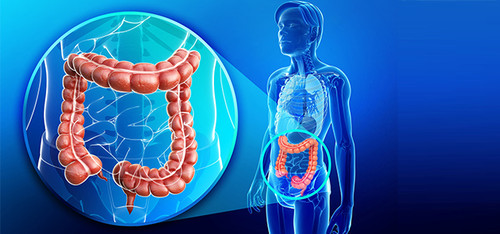 HIDROCOLON NATURENA (1).jpg