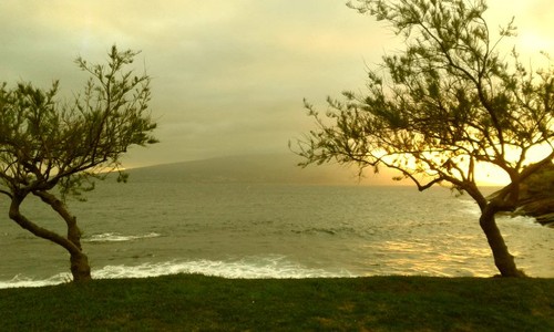 Amanhecer Faial 18fev16.jpg