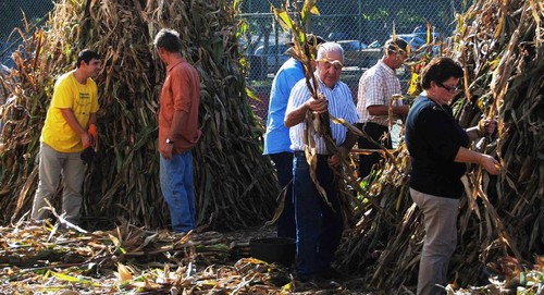 Padornelo Desfolhada 2014 c.jpg