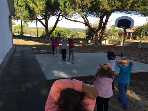 IMG_8017.JPG IMG_8017.JPG