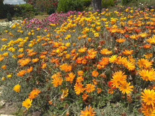 IMG_20180505_142849.jpg IMG_20180505_142849.jpg