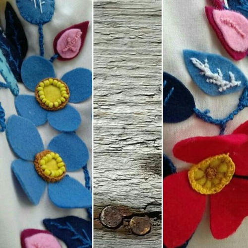 33780715_1904693239563633_5476257905705484288_n.jp