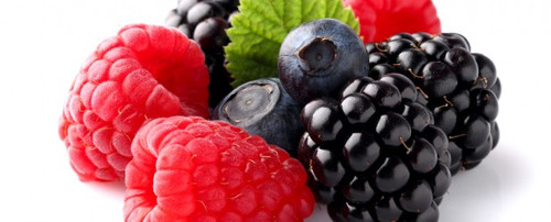 Frutos-Silvestres.bmp Frutos-Silvestres.bmp