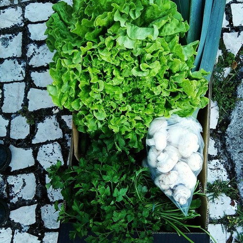 983994_874882045984891_1465186410354861936_n.jpg 983994_874882045984891_1465186410354861936_n.jpg