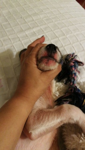 WhatsApp Image 2018-10-30 at 21.05.27.jpeg