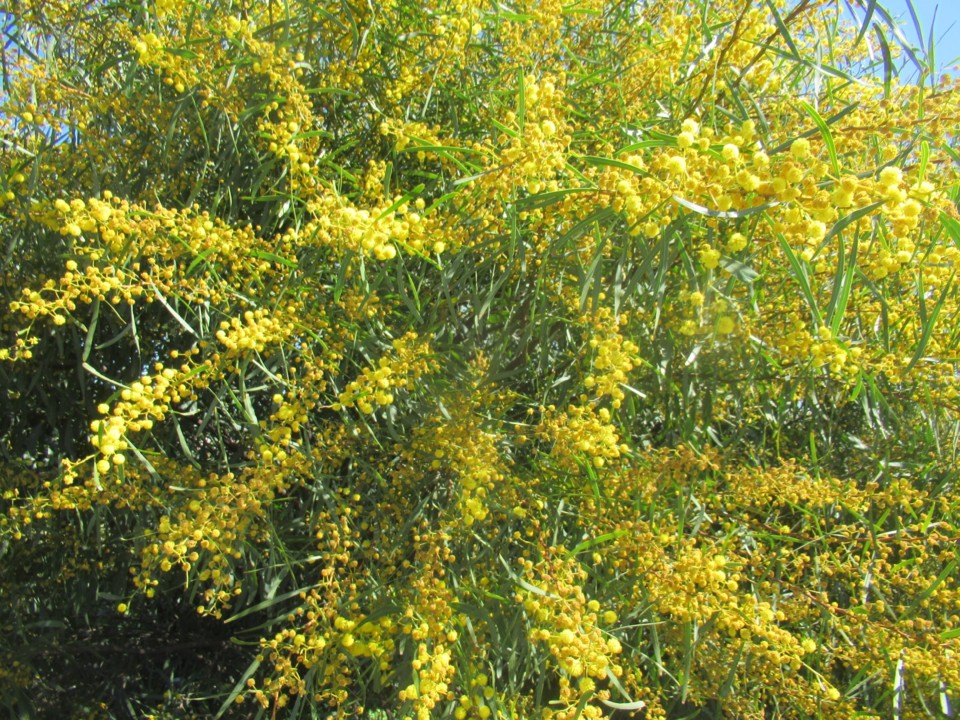 164882393_10221397988917780_1865560573102483843_o.