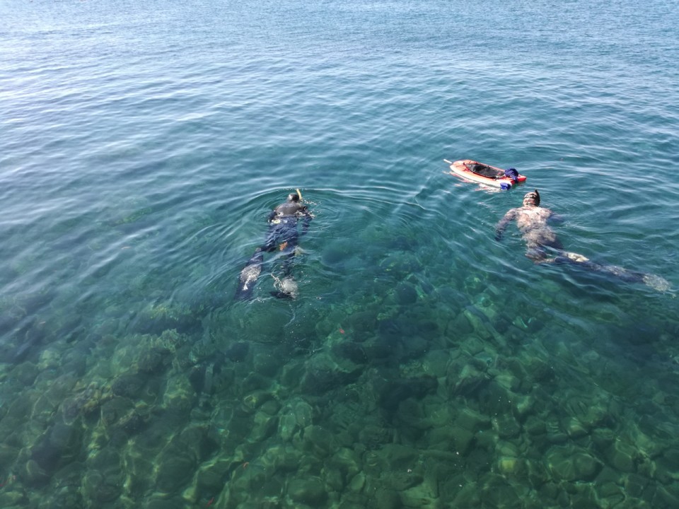 IMG_20190602_110837.jpg IMG_20190602_110837.jpg