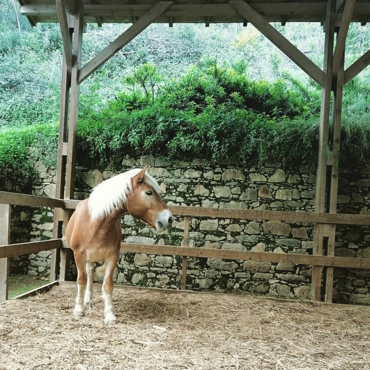 127247275_1882592525213833_5148906805212241463_o.j