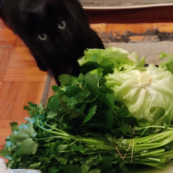 265300833_2189004347905981_2380894993432947998_n.j